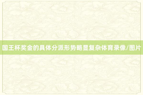 国王杯奖金的具体分派形势略显复杂体育录像/图片