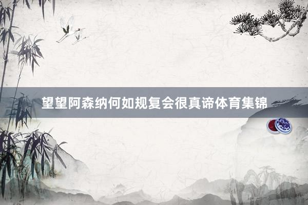 望望阿森纳何如规复会很真谛体育集锦