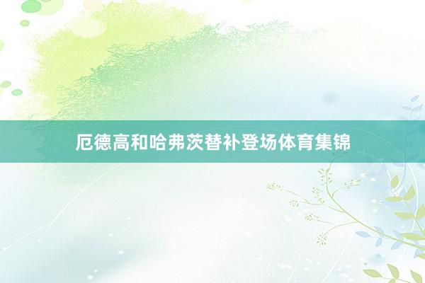 厄德高和哈弗茨替补登场体育集锦