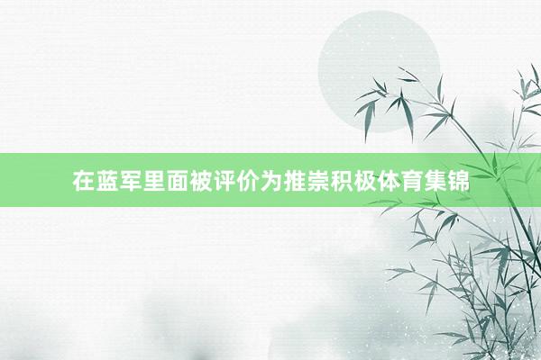 在蓝军里面被评价为推崇积极体育集锦