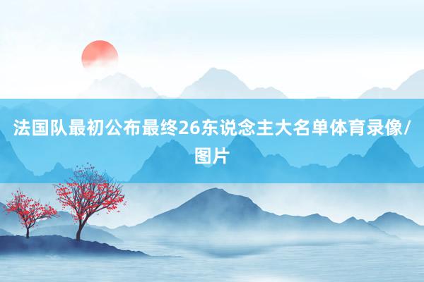 法国队最初公布最终26东说念主大名单体育录像/图片