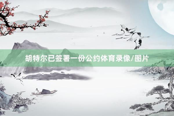 胡特尔已签署一份公约体育录像/图片