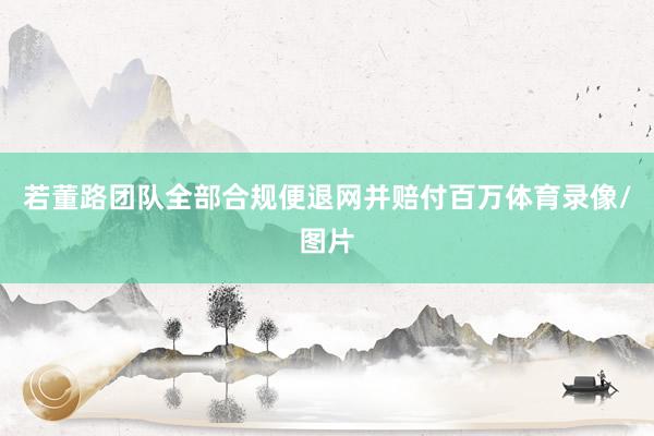 若董路团队全部合规便退网并赔付百万体育录像/图片