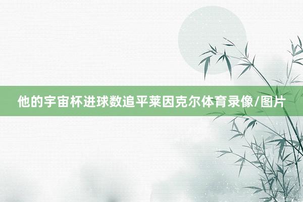他的宇宙杯进球数追平莱因克尔体育录像/图片