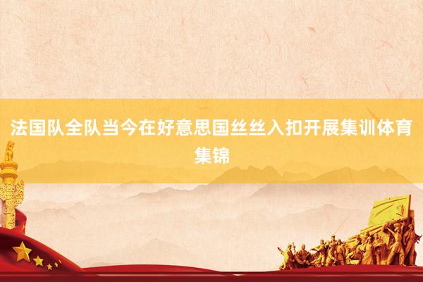 法国队全队当今在好意思国丝丝入扣开展集训体育集锦